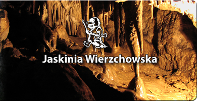 logo Jaskinia Wierzchowska